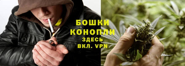 гидропоника Пенза