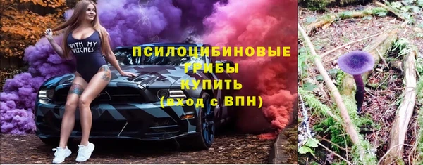 гидропоника Пенза