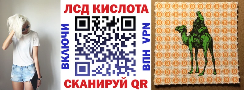 где продают наркотики  Буинск  Марки 25I-NBOMe 1500мкг 
