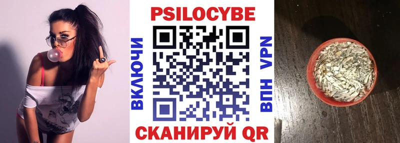 Псилоцибиновые грибы Cubensis МЕГА как зайти Буинск